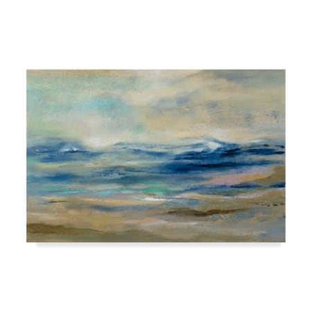 Silvia Vassileva 'Whispering Wave' Canvas Art,16x24